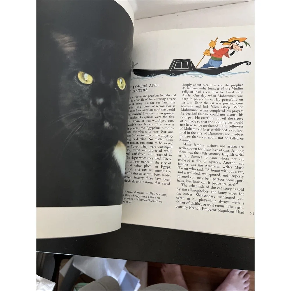 Disney's Wonderful World of Knowledge, Vol 12; c 1971